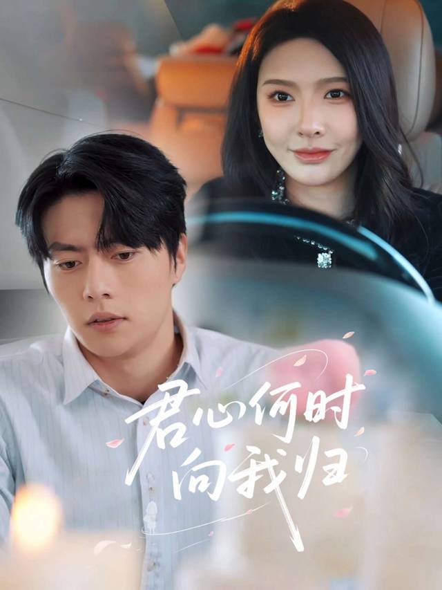 君心何时向我归封面