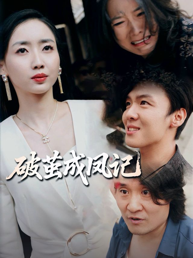 破茧成凤记封面