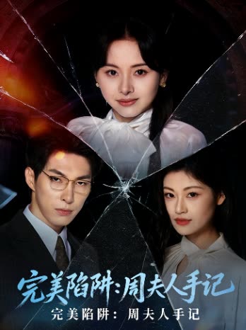 完美陷阱:周夫人手记封面