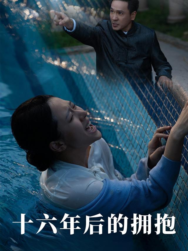 十六年后的拥抱封面