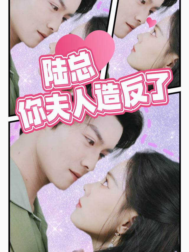 陆总你夫人造反了封面