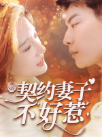 契约妻子不好惹封面