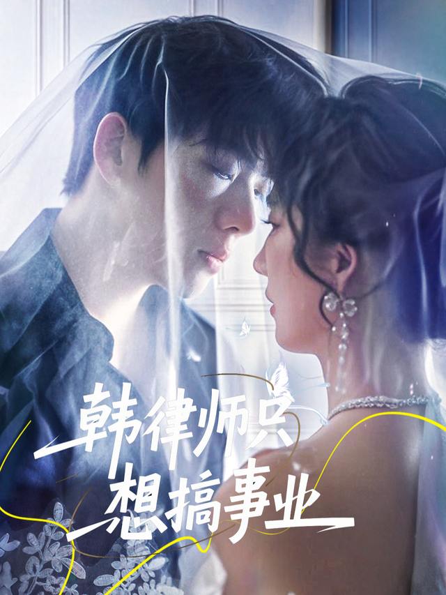 韩律师只想搞事业封面