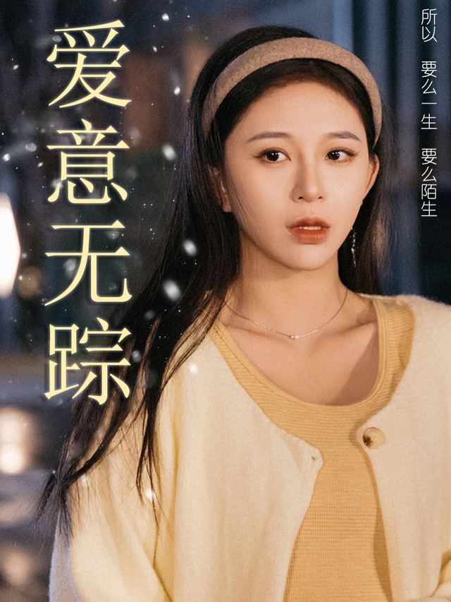 爱意无踪封面