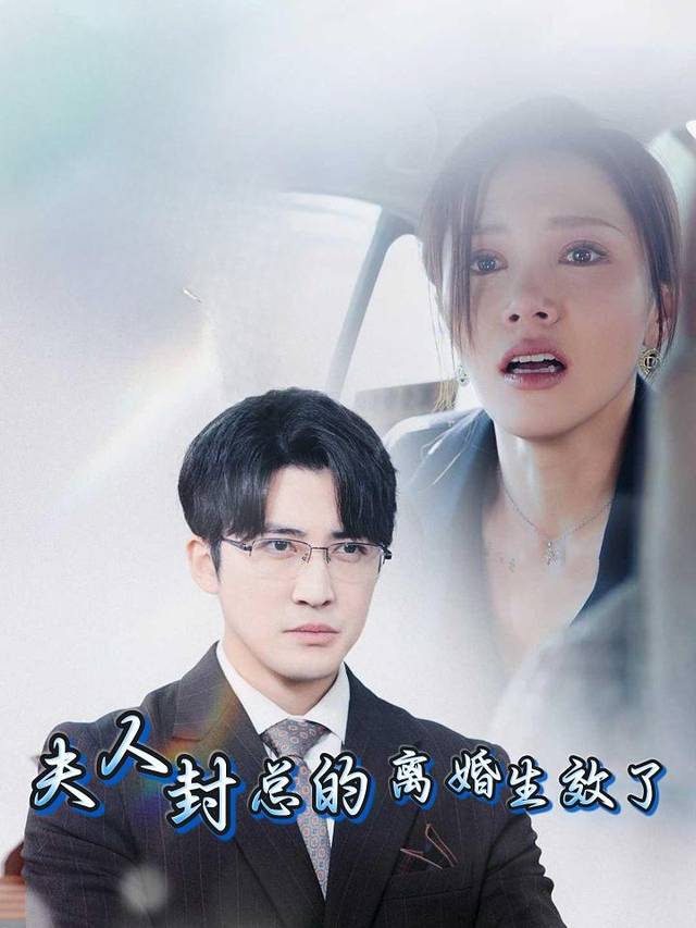 夫人,封总的离婚生效了封面
