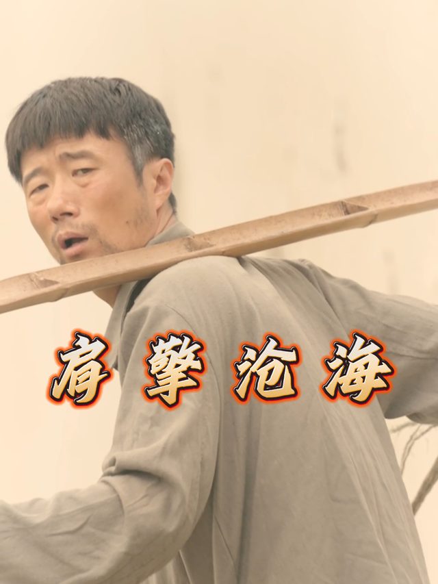 肩擎沧海封面
