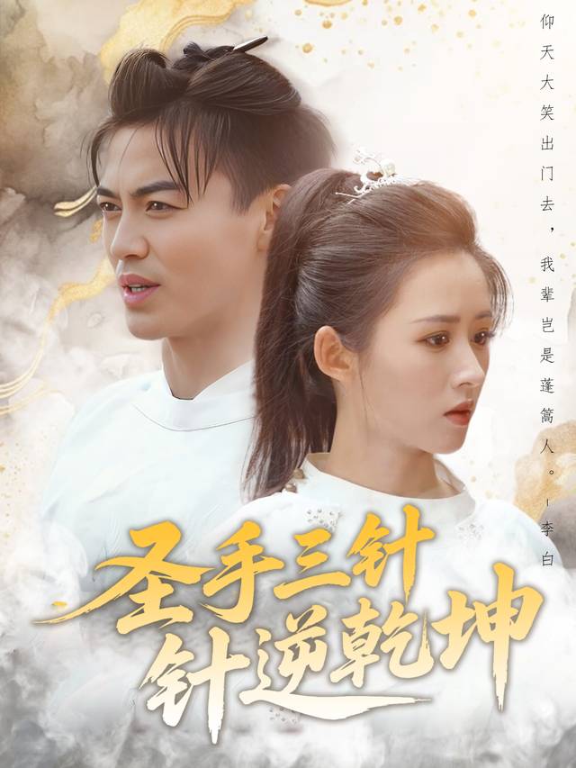 圣手三针逆乾坤封面