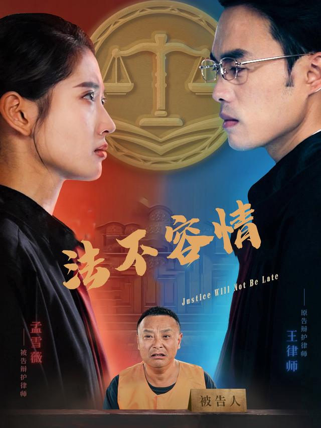 法不容情封面