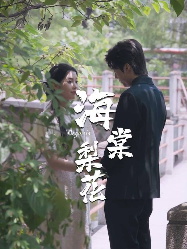 海棠梨花封面