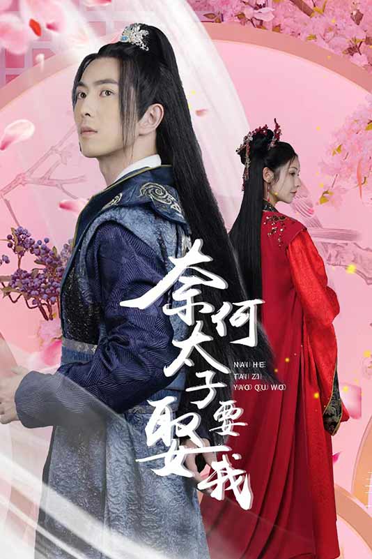 奈何太子要娶我封面