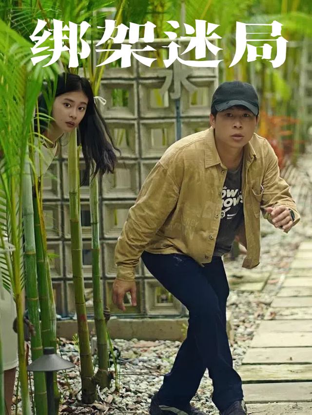 绑架迷局封面