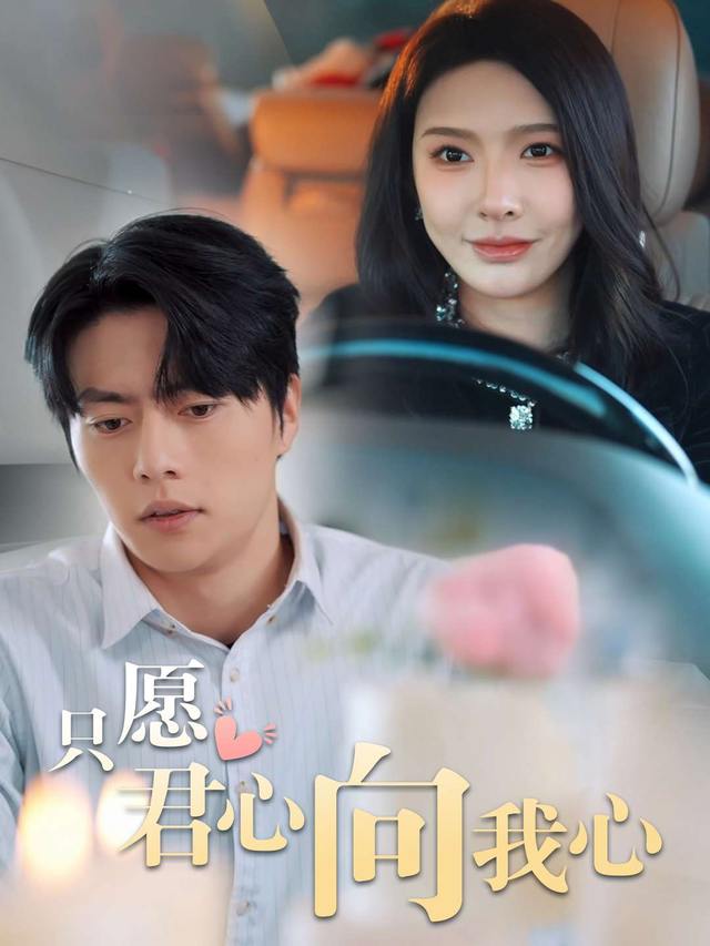 癌症诊断书的阴谋封面