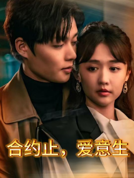 合约止,爱意生封面