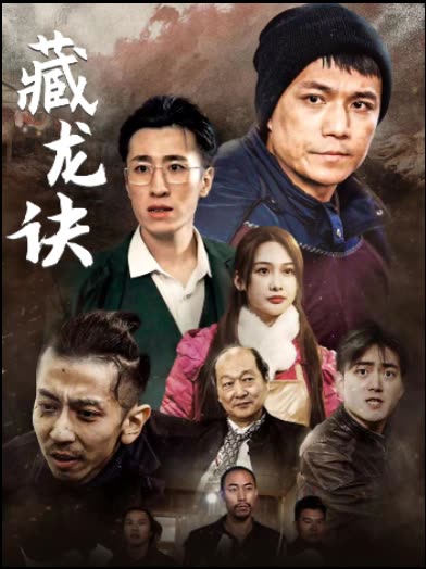 藏龙诀封面
