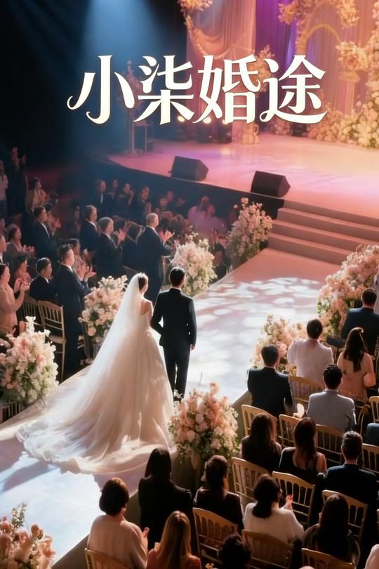 小柒婚途封面