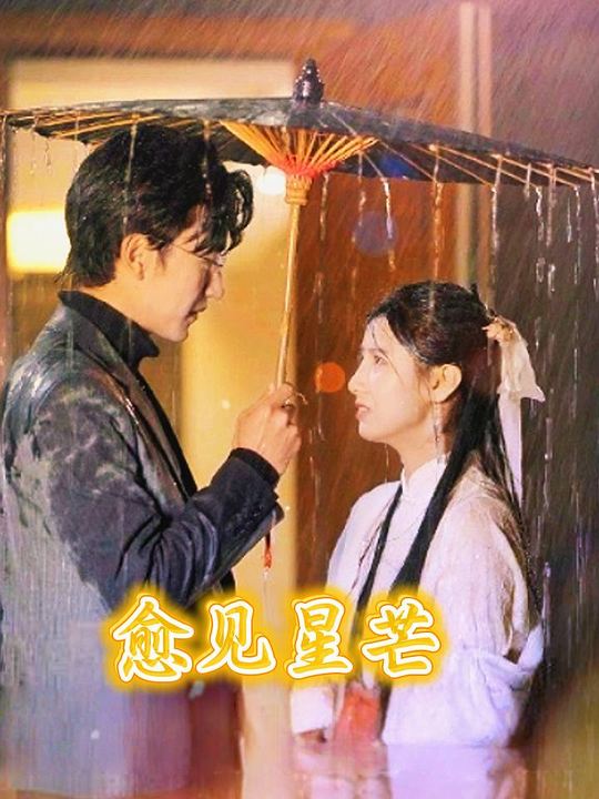 愈见星芒封面