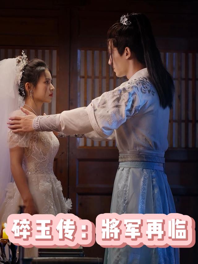 碎玉传:将军再临封面