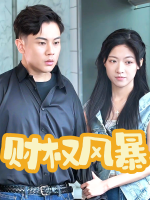 财权风暴封面