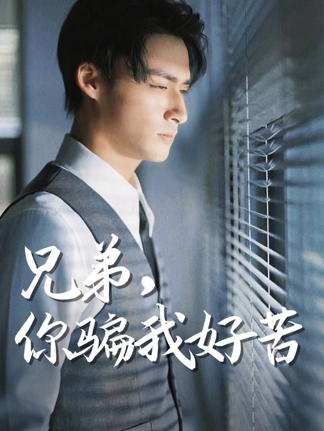 兄弟,你骗我好苦封面