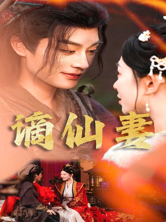 谪仙妻封面