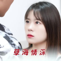 孽海情深封面