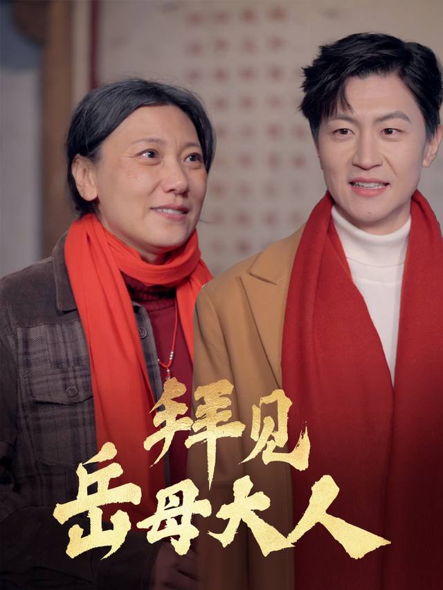 拜见岳母大人封面
