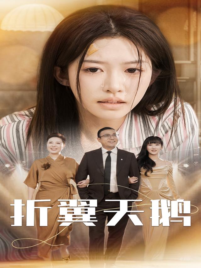 折翼天鹅封面