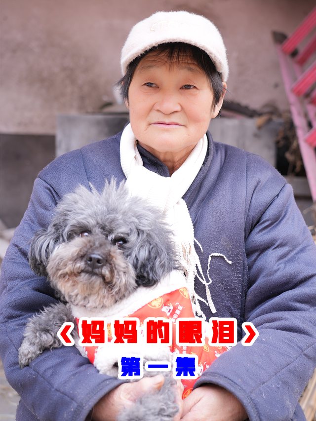 神犬锤锤之妈妈的眼泪封面
