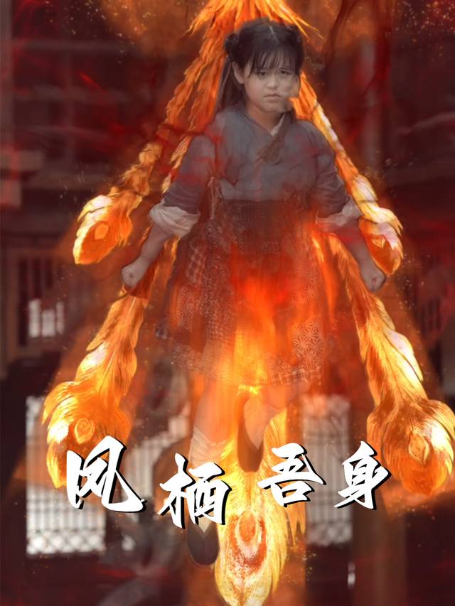 凤栖吾身封面
