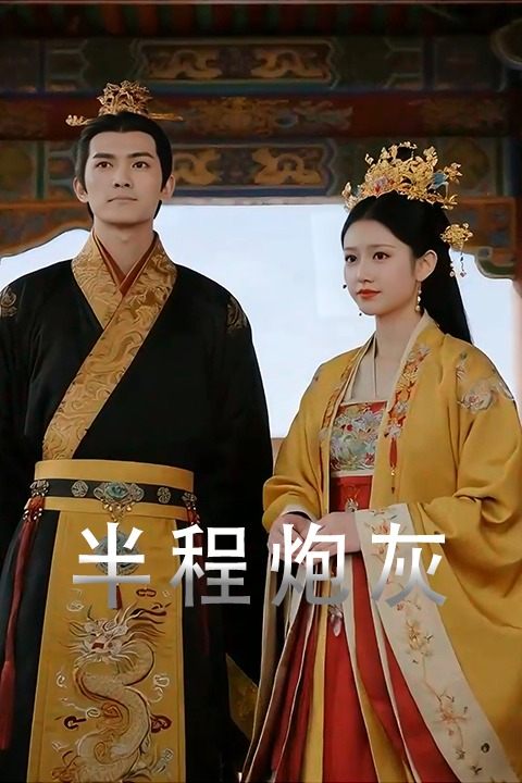 半程炮灰封面