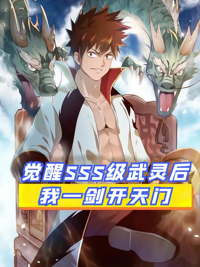 觉醒SSS级武灵后,我一剑开天门封面