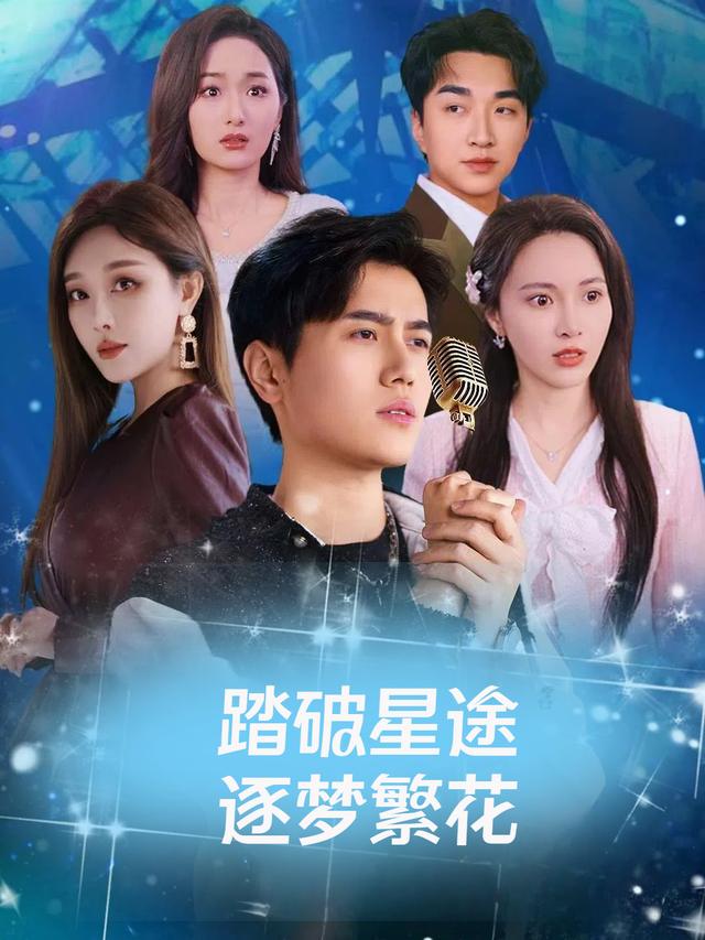 踏破星途逐梦繁花封面