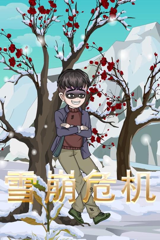 雪崩危机封面