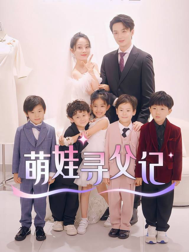 萌娃寻父记封面