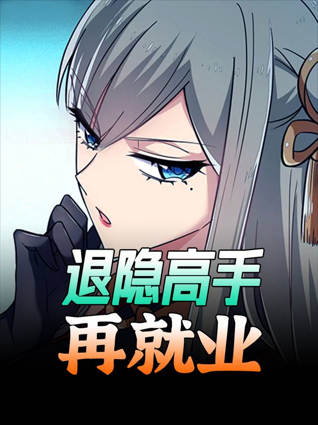 退隐高手再就业封面