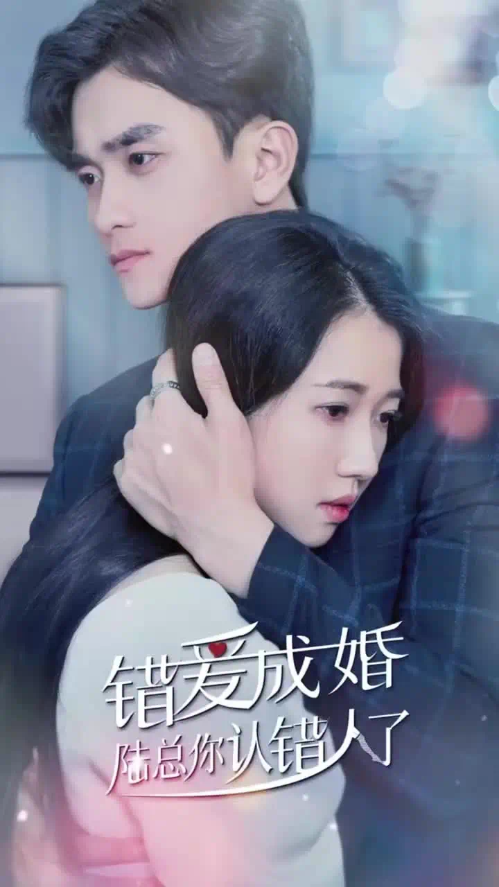 陆总，你认错人了封面
