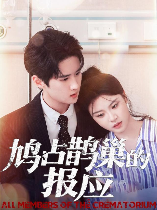 鸠占鹊巢的报应封面