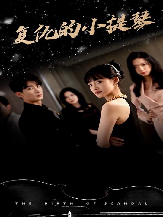 复仇的小提琴封面