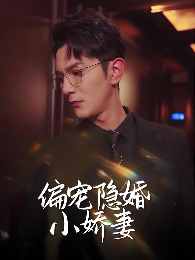 偏宠隐婚小娇妻封面