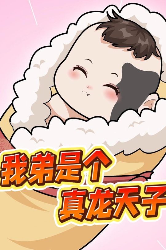 我弟是个真龙天子封面