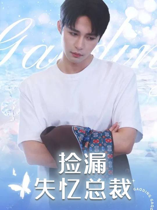 捡漏失忆总裁封面