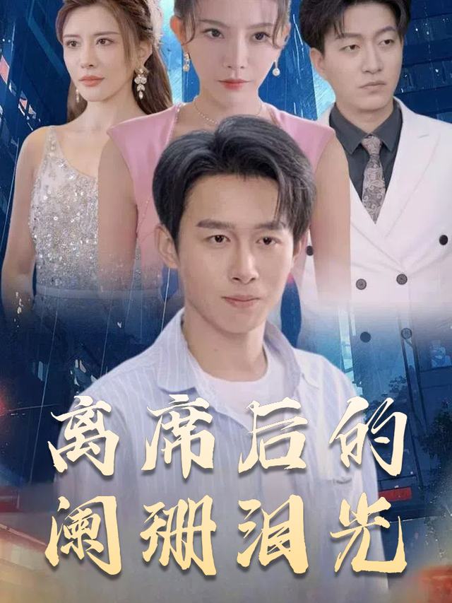 离席后的阑珊泪光封面
