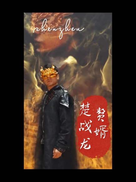 赘婿楚战龙封面