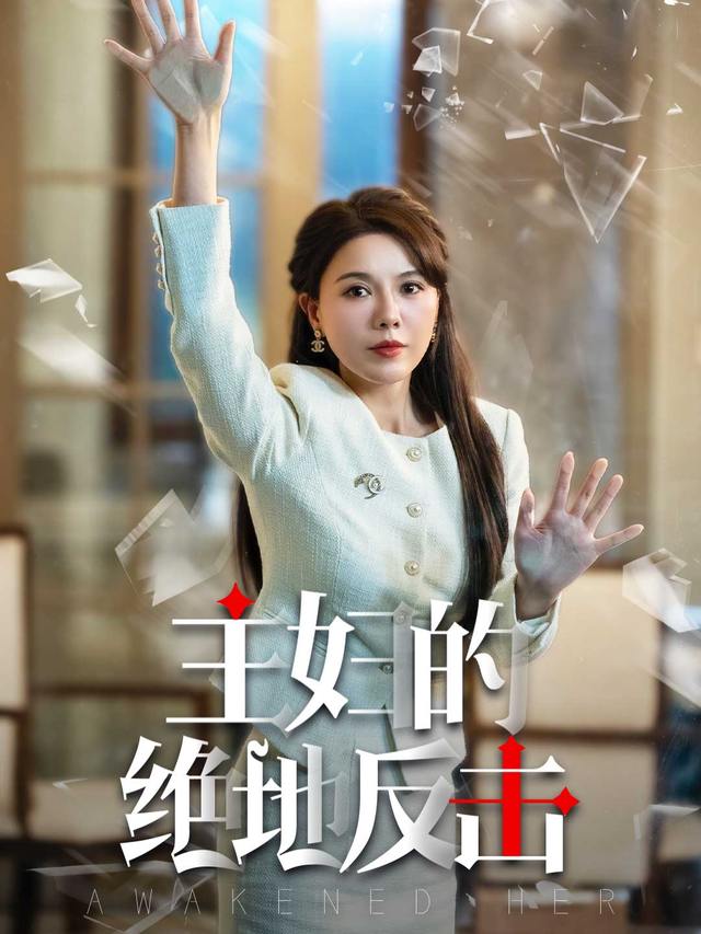 主妇的绝地反击封面