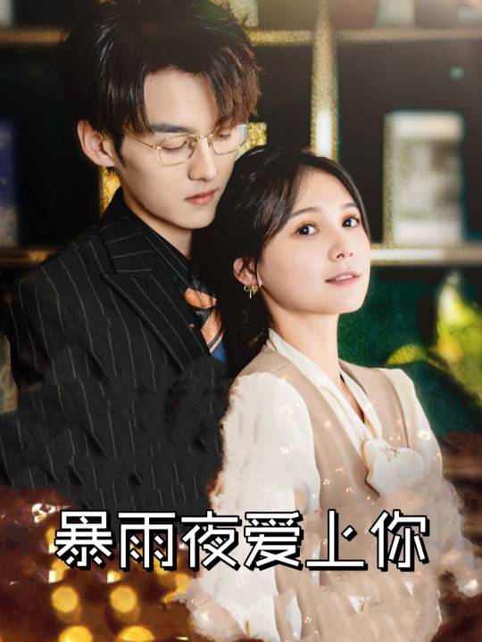 暴雨夜爱上你封面