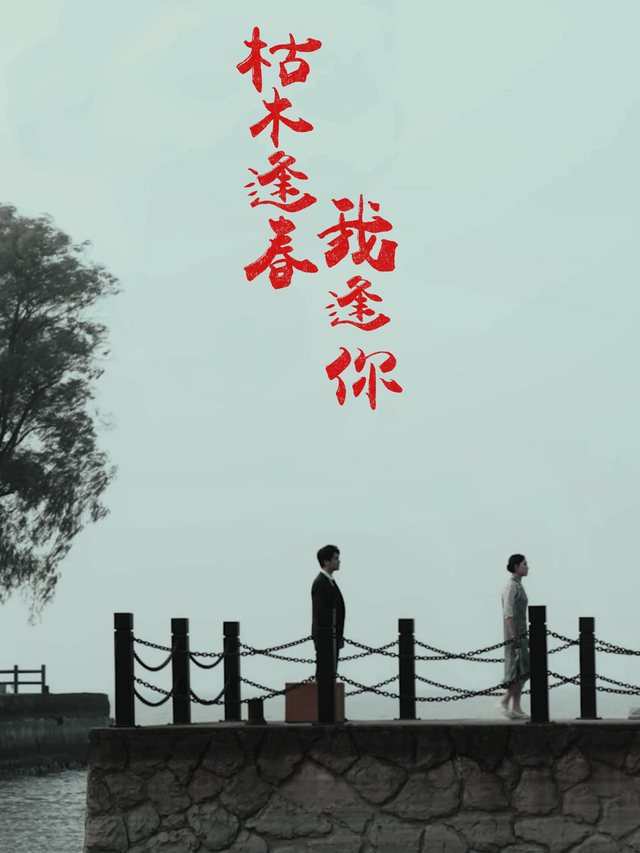 枯木逢春,我逢你封面