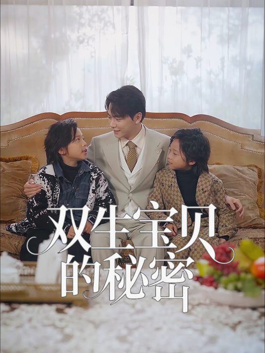 双生宝贝的秘密封面