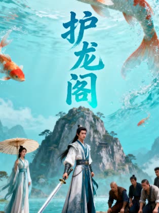 护龙阁封面
