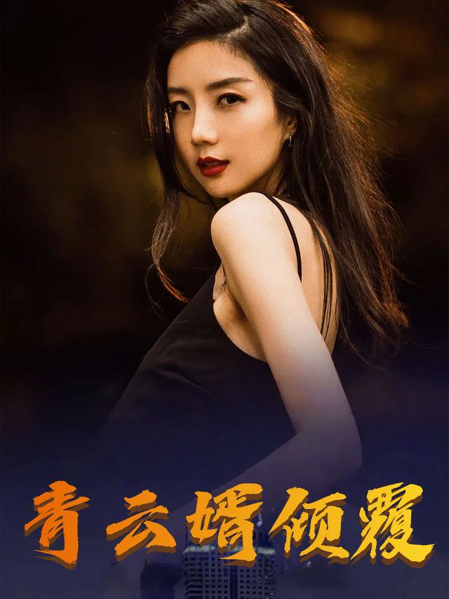 青云婿倾覆封面