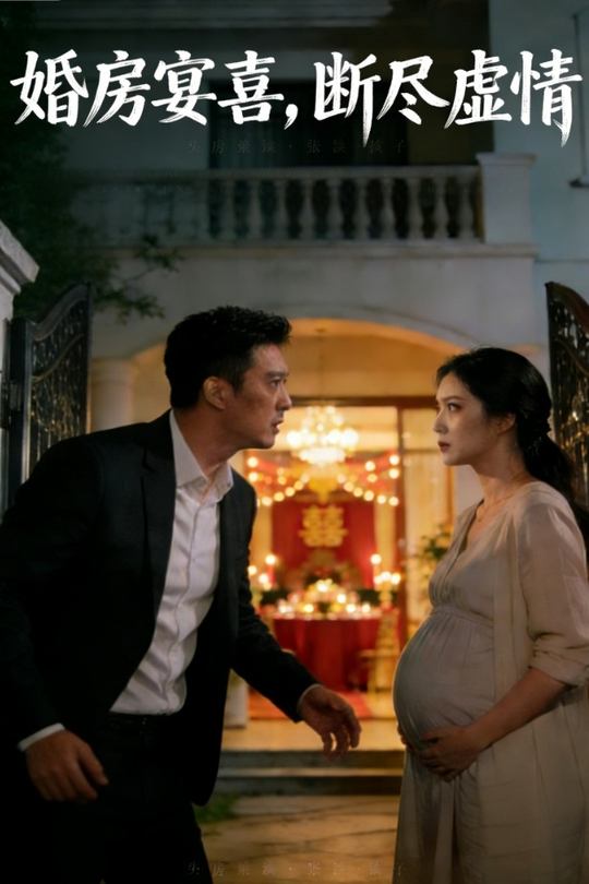 婚房宴喜,断尽虚情封面